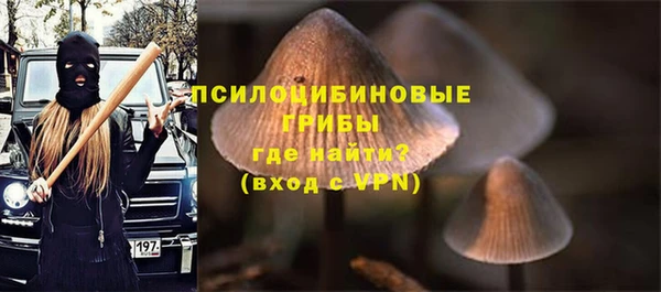 тгк Зеленокумск